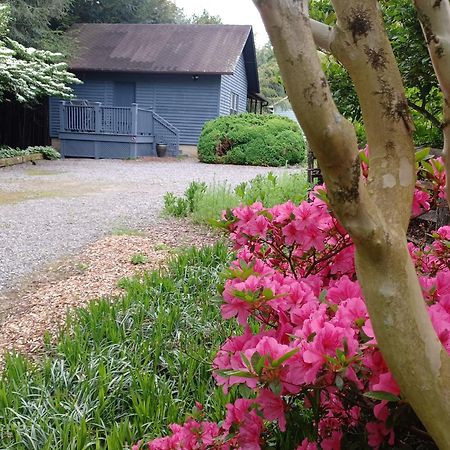 Restored1850S Log Cabin, With Gazebo And Gardens! 1 Mile To Downtown Weaverville Exteriör bild