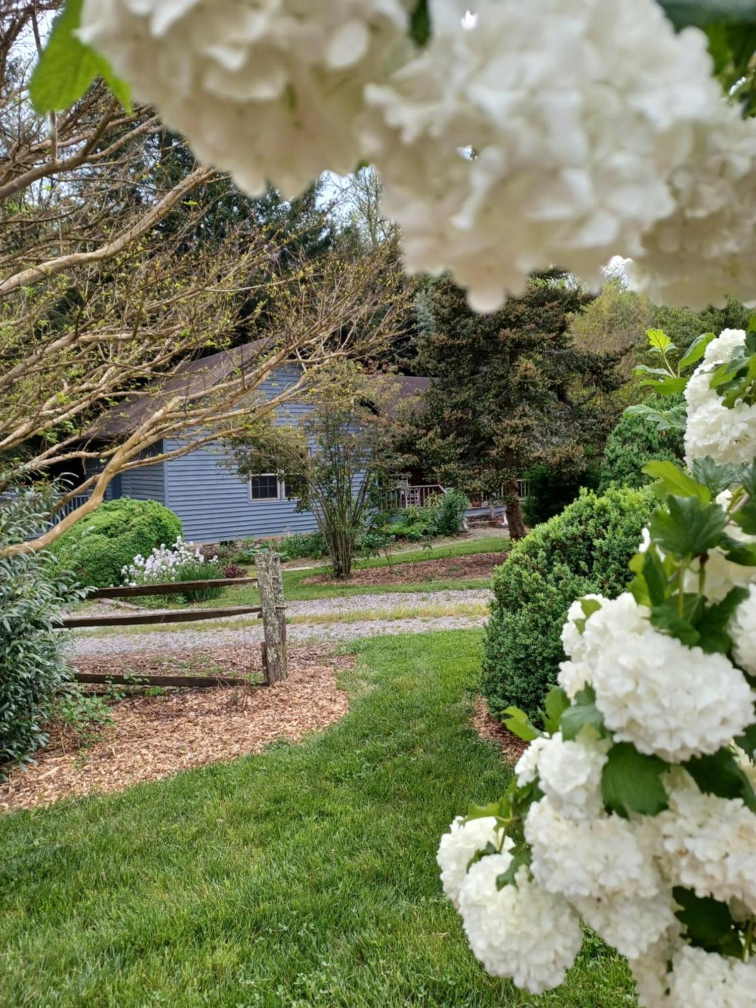 Restored1850S Log Cabin, With Gazebo And Gardens! 1 Mile To Downtown Weaverville Exteriör bild