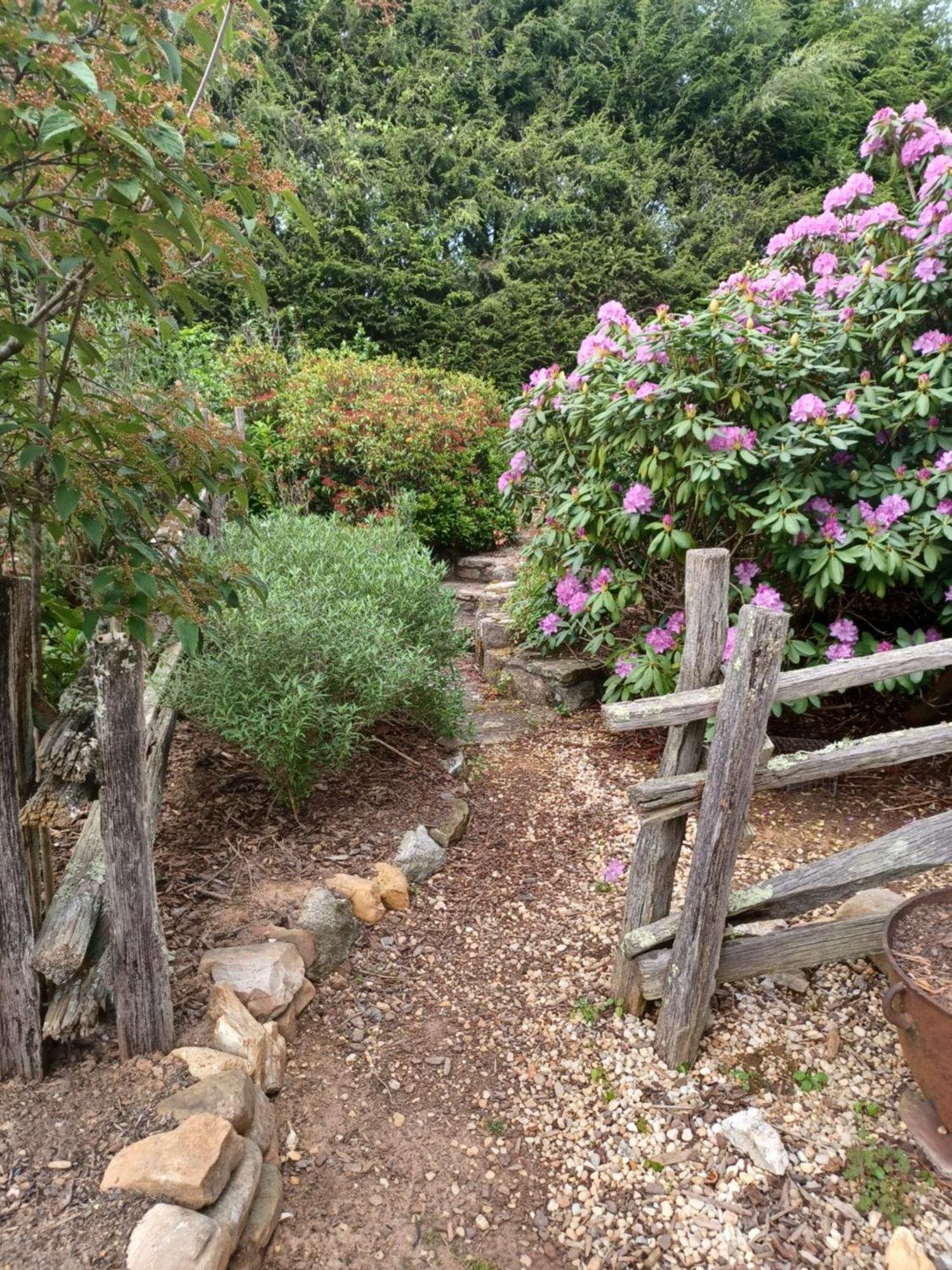 Restored1850S Log Cabin, With Gazebo And Gardens! 1 Mile To Downtown Weaverville Exteriör bild