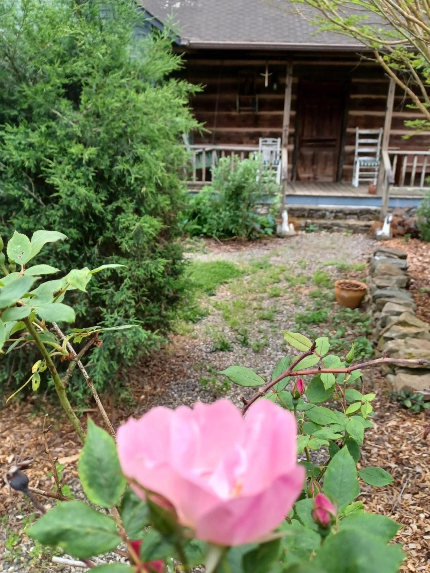 Restored1850S Log Cabin, With Gazebo And Gardens! 1 Mile To Downtown Weaverville Exteriör bild