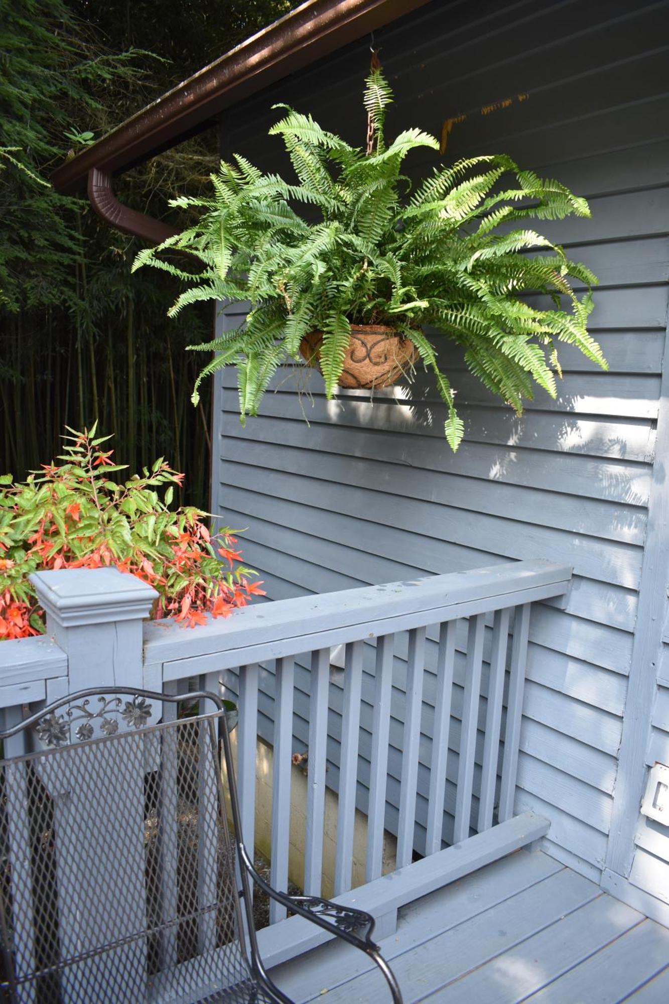 Restored1850S Log Cabin, With Gazebo And Gardens! 1 Mile To Downtown Weaverville Exteriör bild