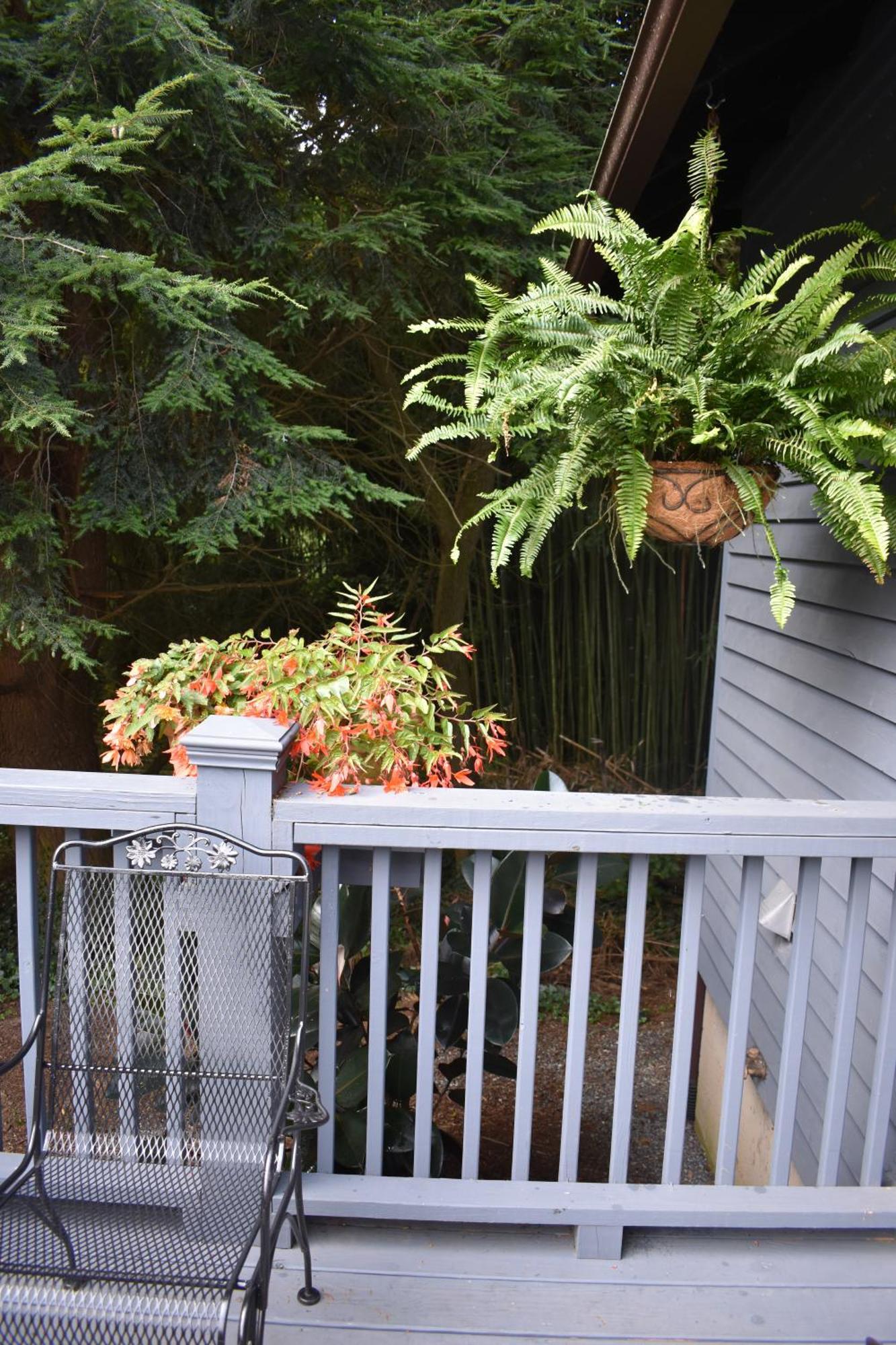 Restored1850S Log Cabin, With Gazebo And Gardens! 1 Mile To Downtown Weaverville Exteriör bild