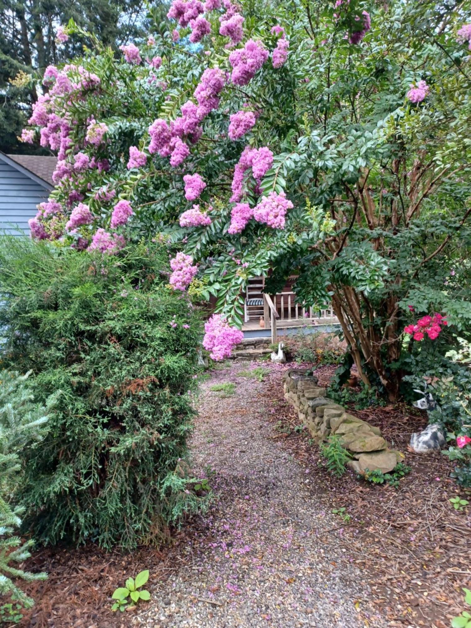 Restored1850S Log Cabin, With Gazebo And Gardens! 1 Mile To Downtown Weaverville Exteriör bild